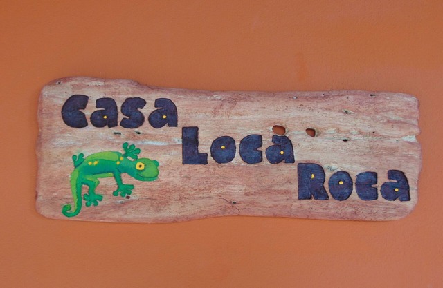 Casa Loca Roca: Unique Comfortable Living Steps Away from Great Surf!