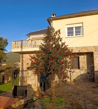 Casa Macías
