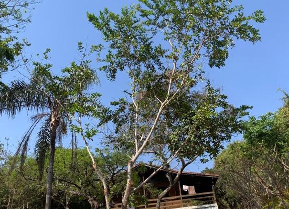 Casa Madeira em Santo hilario