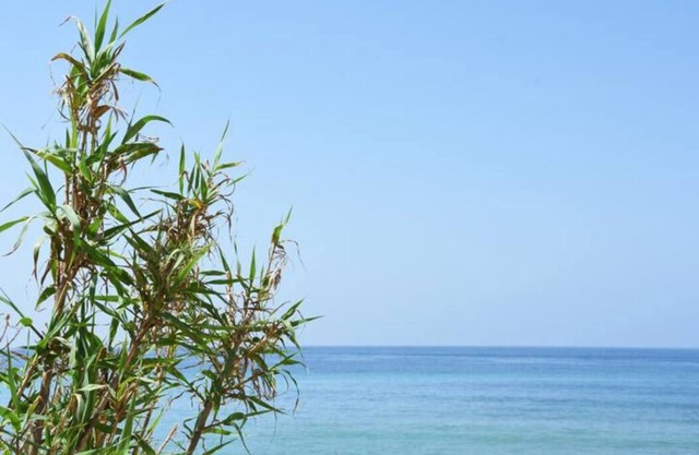 ♡Casara 1♡ Beautiful Loft House♡ Zahora Beach♡