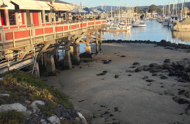 Casita Del Mar - A Quaint 1929 Spanish Cottage in Beautiful Monterey