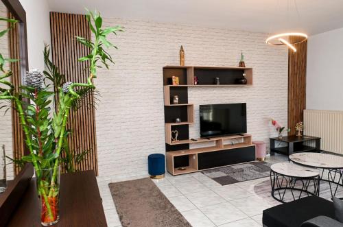 Central appartment