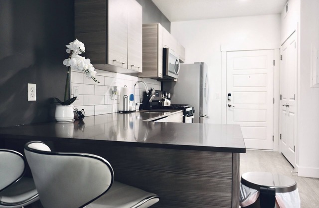 Central Downtown Apartment IV