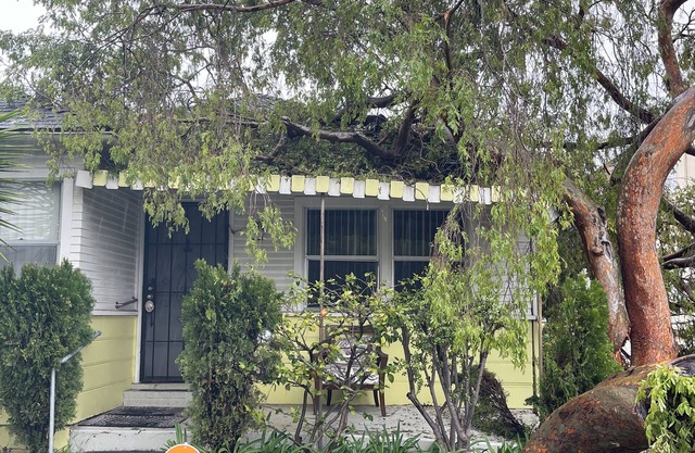 Centrally located Cozy Santa Monica haven with backyard and parking!