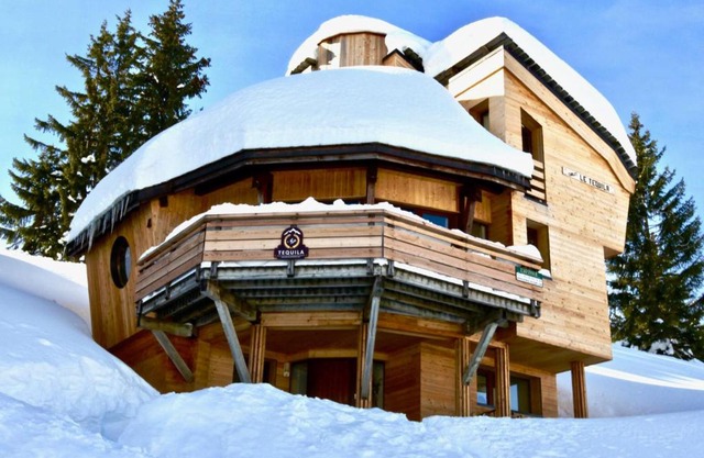 Chalet 10 pers avec sauna, ski aux pieds, service hôtelier, Avoriaz - FR-1-314-193