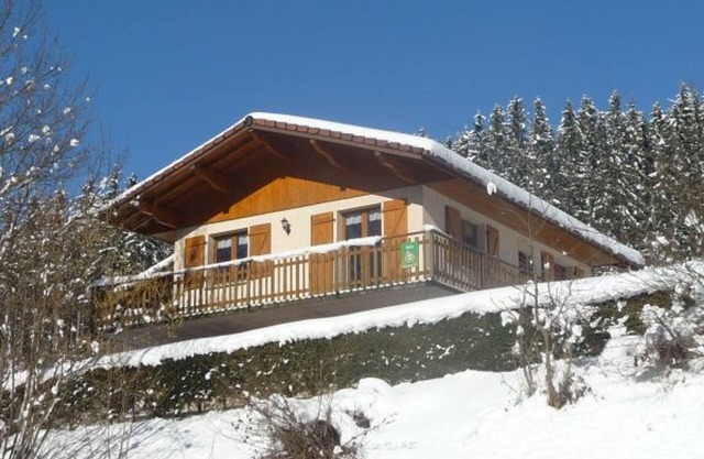 Chalet confortable près de Gérardmer avec cheminée, WiFi et garage, idéal pour familles et groupes