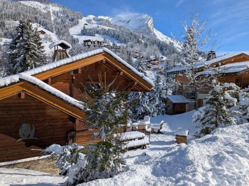 Chalet de l'Ours, 4 étoiles, avec spa et proche des pistes