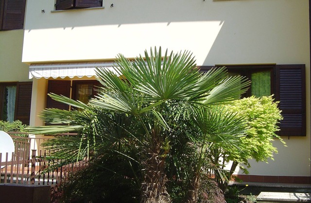 Chalet Franciacorta, near the lake, pets allowed.