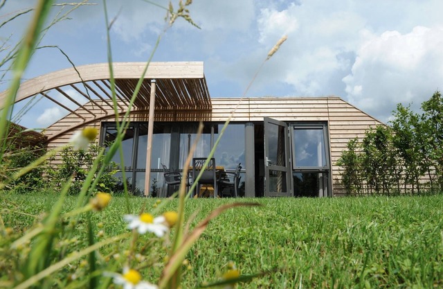 Chalet in Netherlands with Scenic Meadow Views
