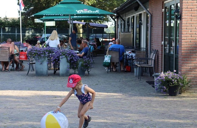 Chalet in Netherlands With Pool & Playground