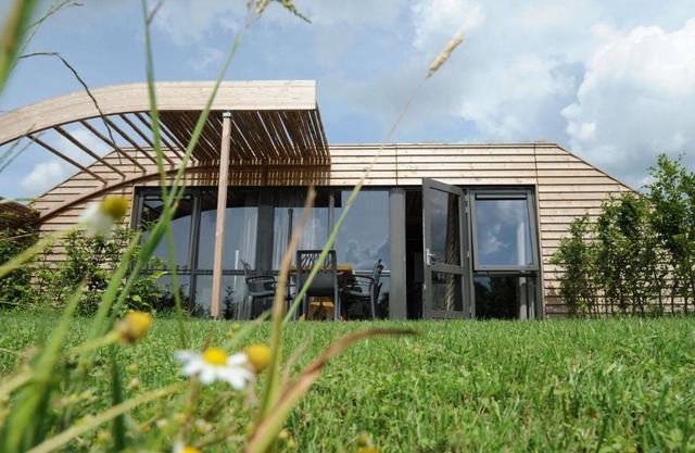 Chalet in Netherlands with Scenic Meadow Views