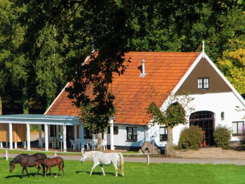 Chalet in Overijssel with Spacious Terrace