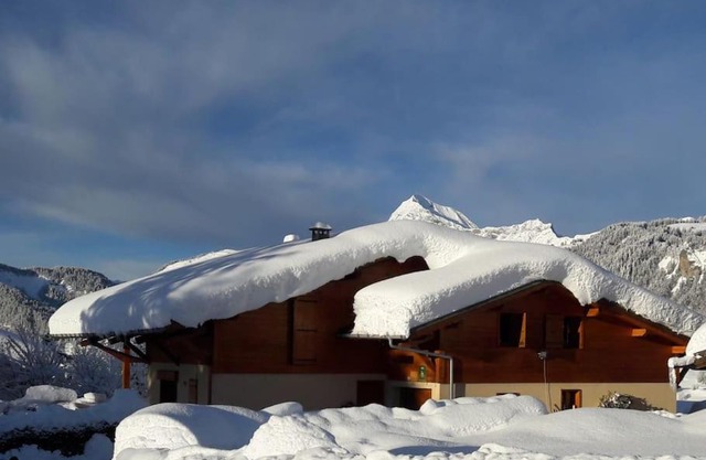Chalet Le Wapiti, aux pieds des pistes, à 200m du village