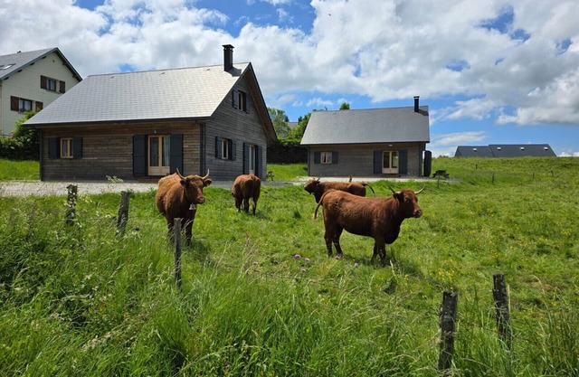 Chalet le Bivouac 12 personnes, spacieux & convivial au cœur du massif du Sancy