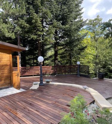 Chalet Leonard House in the wood