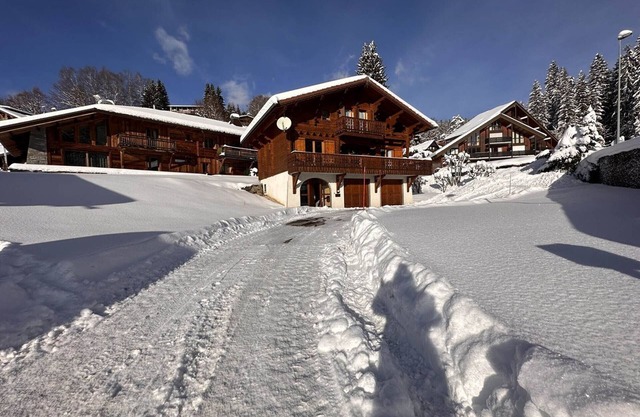 Chalet with 4 bedrooms, 9 pers, ski-in, 2-car garage