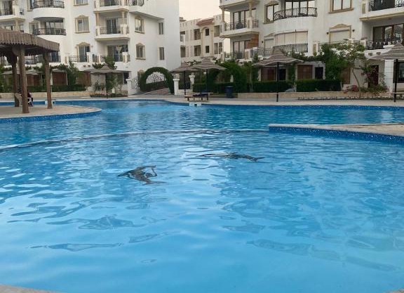 chalets neama bay