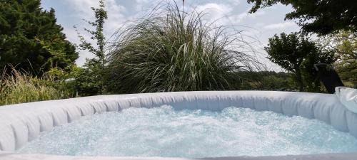 Chambre d'hôte, Jacuzzi ext, piscine ext, Cosy nature avec Grand Salon, wifi, salle de bain, parking
