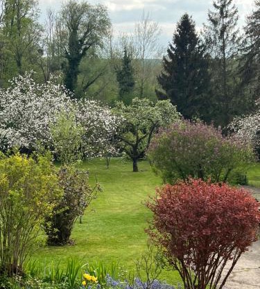 Chambre dans jolie nature