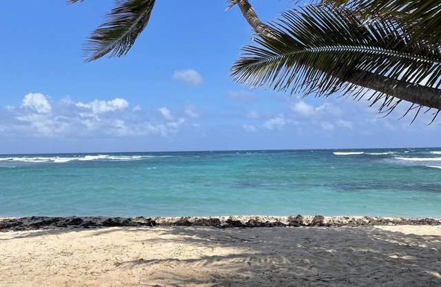 Changes in L'Attitude: Casual luxury, right on the beach at Pelican Cove!