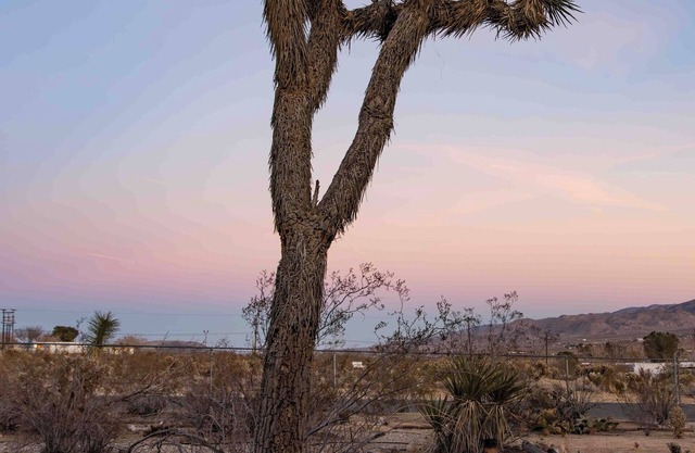 Charming 2-bedroom house in wonderful Joshua Tree with AC, WiFi, & Park views