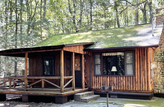 Charming 2 BR Log Cabin in the Poconos