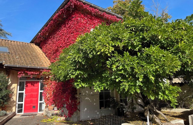 Charming accommodation with spa 🏡 🧘‍♂️🌿 And electric charging station 🚗