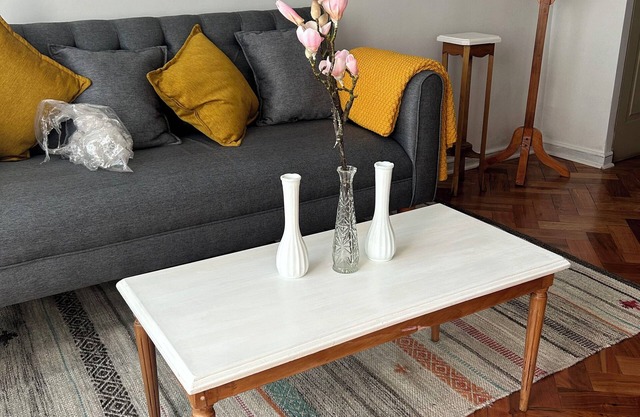 Charming and beautiful apartment in Santiago, Plaza Italia.