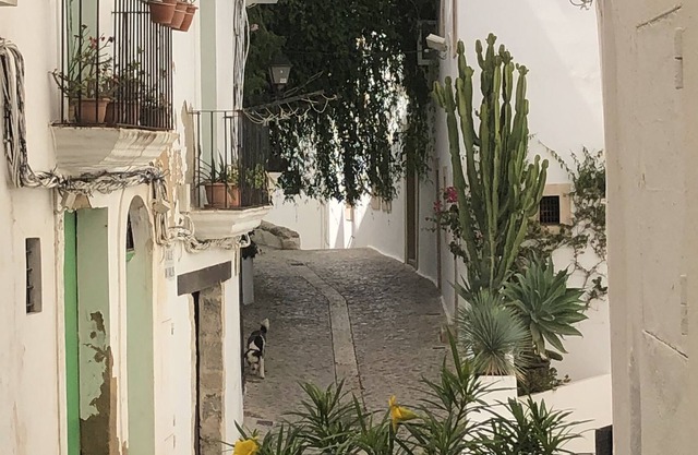 charming Apartment Dalt Vila Ibiza , 2 beds, 2 showers
