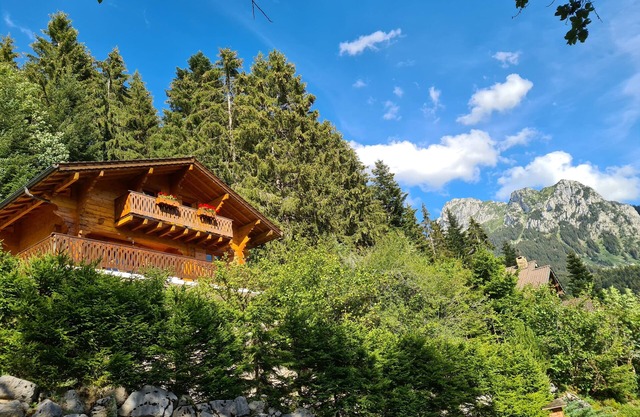 Charming Chalet In The Alps, Close To Lake Geneva