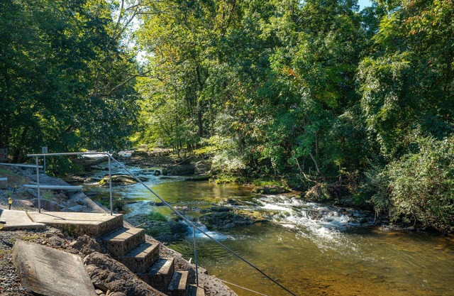Charming Cottage Right On Cosby Creek! Enjoy the waterfall from the porch!