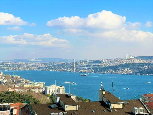 Charming, Designer Apartment with Private Rooftop Terrace, Bathtub, and Sea View in Taksim