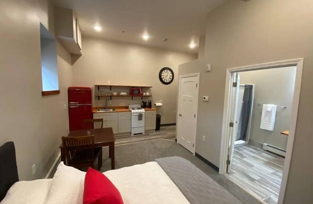 Charming, Fully Furnished Studio Apartment, 101
