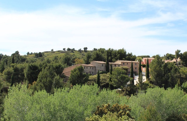 Charming Mazet on the aqueduct-beautiful terrace and communal pool- Vallée des Baux