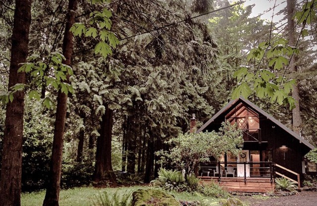 Charming Mt Hood Chalet, minutes to Mt fun! Woodsy feel.