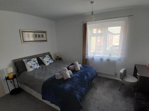 Charming Northampton Apartment with 2 Bedrooms