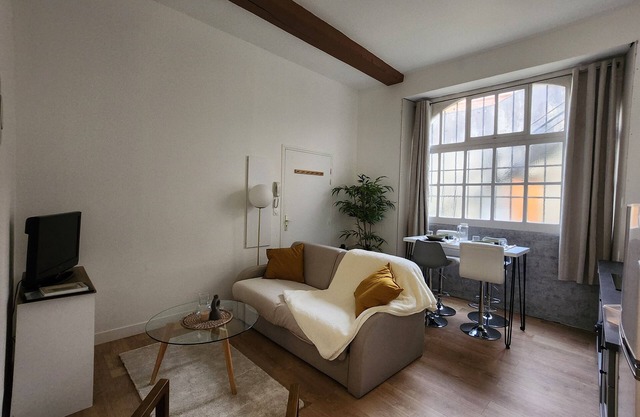 Charming T3 in the heart of Orthez