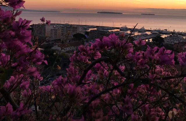 Charming villa, exceptional sea view over the bay of Cannes and the Islands