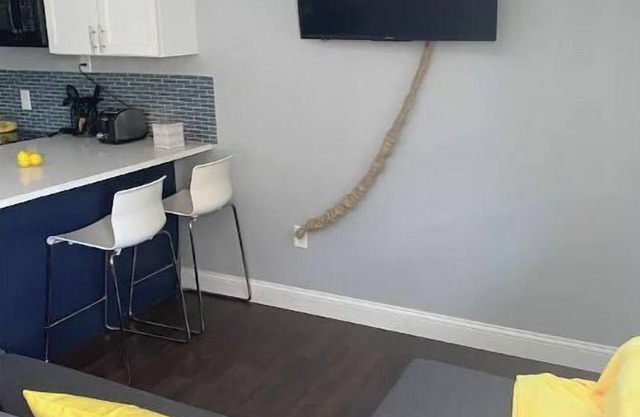 Cheerful 1 bedroom home! Family and work friendly!
