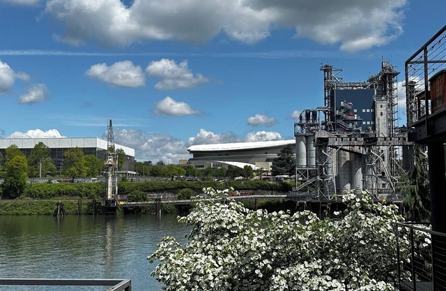 Chic 1-bedroom fully furnished waterfront condo in downtown Portland
