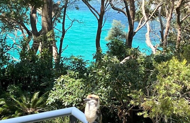 Clifftop Views @ Mollymook