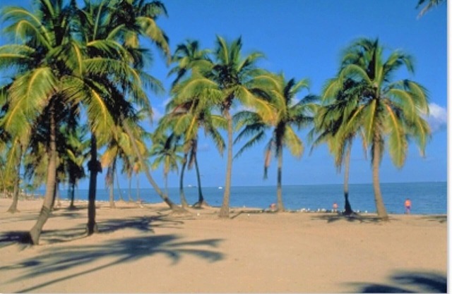 Close to the Ocean Two Bedroom with Pool -