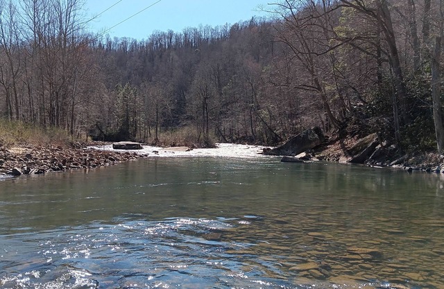 Coal Siding Cabin on the Cherry River. Family and pet friendly!