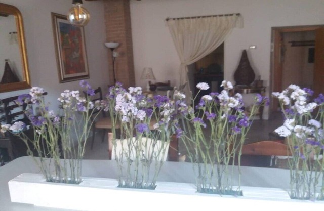 Colisien Home Holiday House