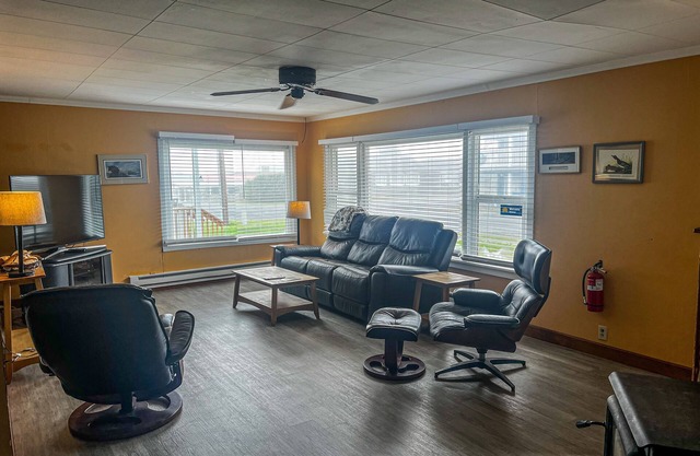 Comfortable and dog-friendly cottage, walk to Pacific Beach State Park