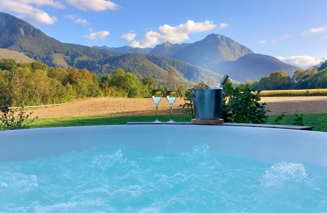 Comfortable gîte with Spa and Pyrenees view *