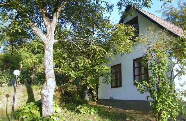 Comfortable holiday home in the vineyards, in an absolutely quiet location