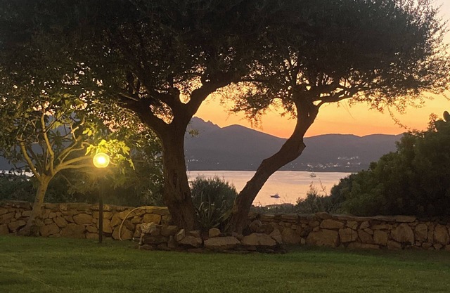 Comfortable home in Porto Rotondo walk to marina and beaches. Private pool