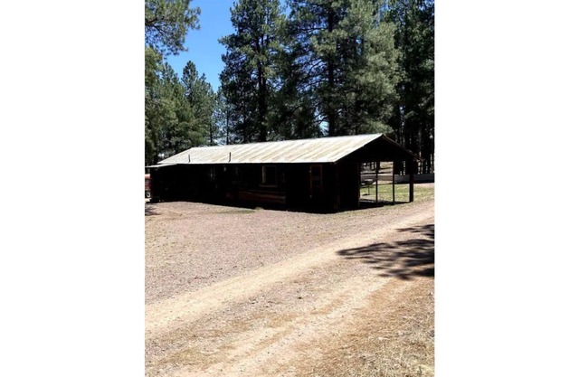 Comfy Cozy Cabin in the tall pines of Alpine AZ #1