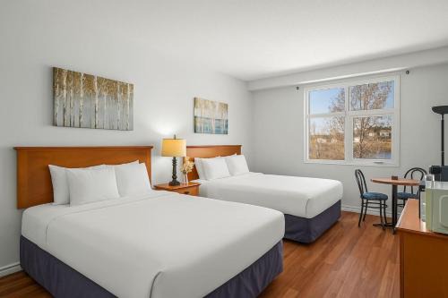 Comfy Rockies Retreat for 4 Canmore DT Near Banff